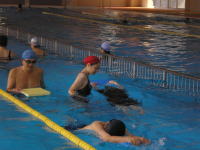 大人のクロール